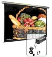  Màn chiếu điện treo tường DaLite 300 inch (240x180) (6m10x4m57)