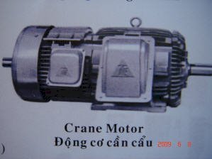 Động cơ cần cẩu Teco - CM