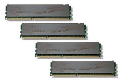 Gskill ECO F3-12800CL9Q-8GBECO DDR3 8GB (2GBx4) Bus 1600MHz PC3-12800