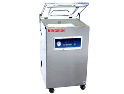 KingSun KS-DZ500N