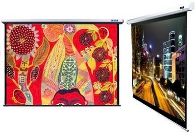 Manual Wall Screen DMS300 170 inches