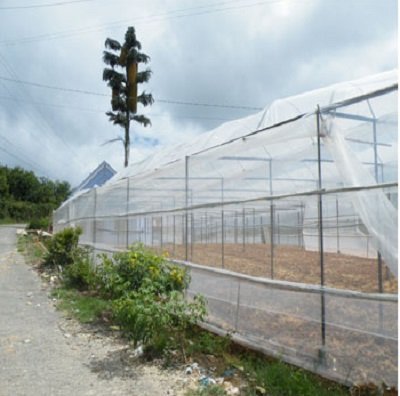 Lưới HDPE bao che chắn gió - ngăn chặn côn trùng - che nắng