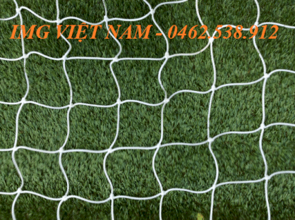 Lưới bóng đá (11 người - Hình thang) 
