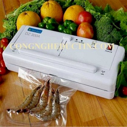 Máy dập nhiệt hút chân không DZ300A