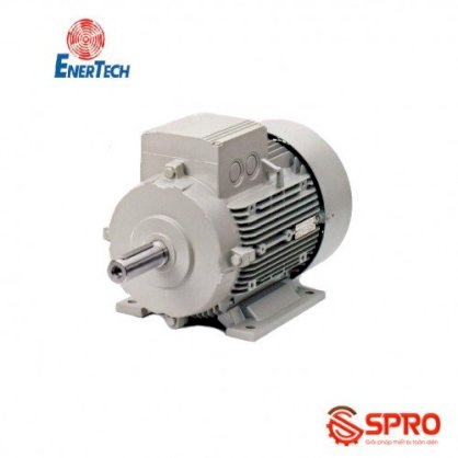 Động cơ điện motor Enertech ESS000554 1 pha công suất 0.75Hp