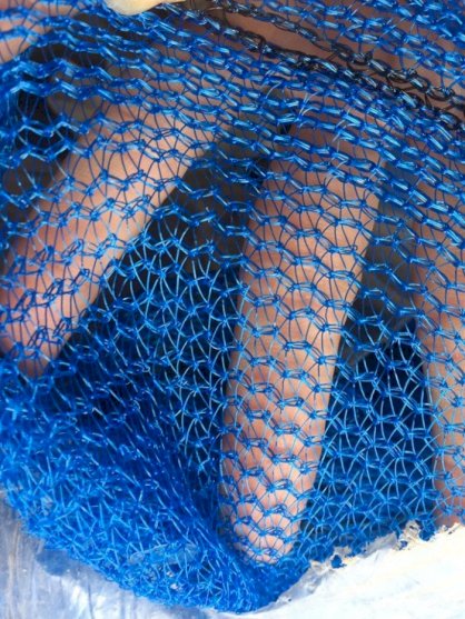 Lưới bao che màu blue LBC1