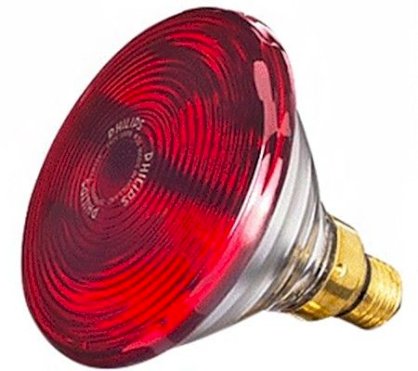 Bóng đèn hồng ngoại Philips 150W