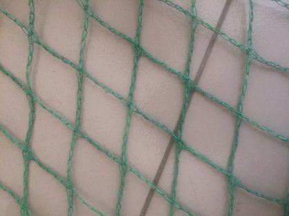 Lưới Nhựa PE màu xanh