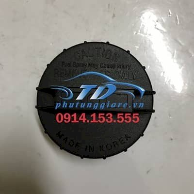 Nắp bình xăng trong Daewoo Lacetti KS04101812