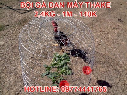 Bội Gà Thake Đan Máy 2,4kg