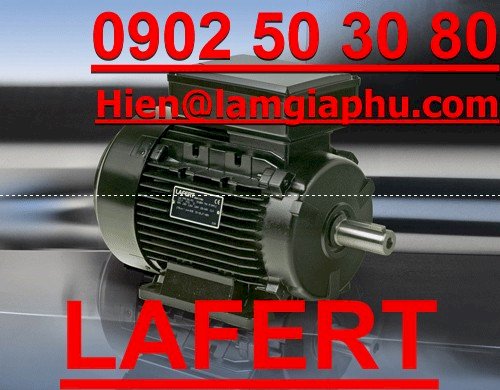 LAFERT motor.jpg