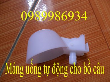 Máng uống cho bồ câu