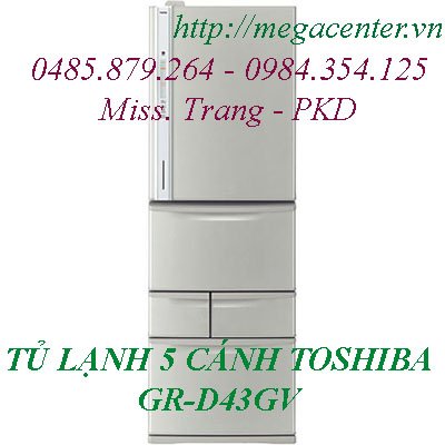 toshiba-GR-D43GV copy.jpg