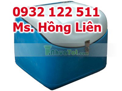 thung-cho-hang-sau-xe-may-bang-nhua-composite-loai-trung-mau-1.jpg