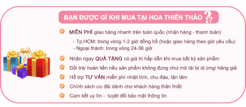 mua-gi-hoa-thien-thao.png