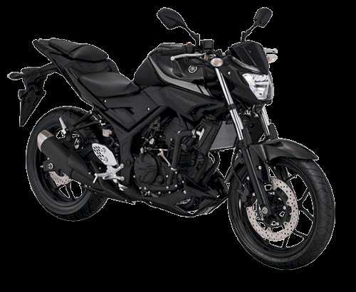 REVIEW 2021 Yamaha MT25  all the naked you need  paultanorg