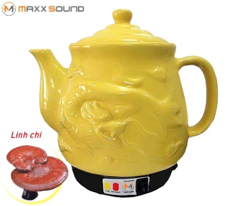 Ấm Sắc Linh Chi Rồng Vàng - 2,8 Lít MS A666