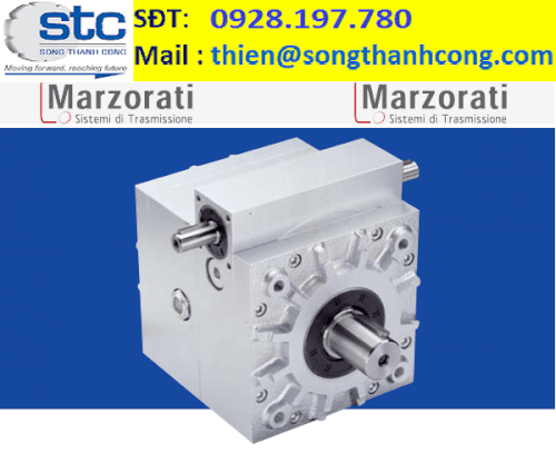 RDE-125-RDE-150-RDE-170-RDE-210-SPEED-MODULATION-GEARBOXES-RDE-Hop-so-Marzorati-Viet-Nam-Song-Thanh-Cong-Viet-nam