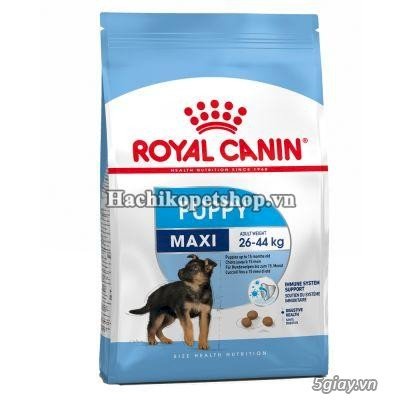 HCM - THỨC ĂN CHÓ MÈO ROYAL CANIN NHẬP KHẨU TỪ PHÁP. HÀNG CHÍNH HÃNG - 8