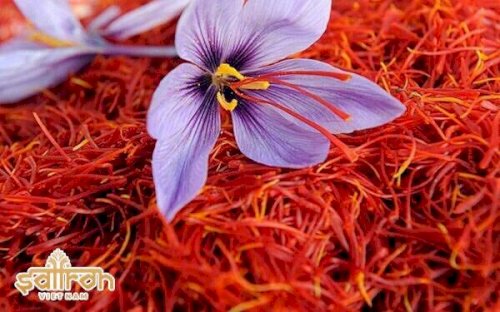 Sỉ lẻ toàn quốc nhụy hoa nghệ tây saffron của Iran loại hộp 1gram hàng loại 1 chuẩn cao cấp Ảnh số 42494607