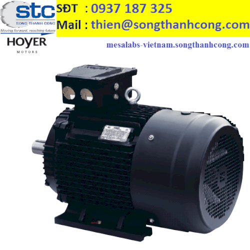 HMC3-160L-4P-B3-IE3-item-no-5541601100-dong-co-dien-3-pha-hoyer-viet-nam-hoyer-denmark-song-thanh-cong-three-phase-motor
