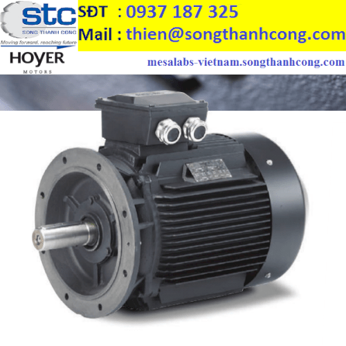 HMA2-80-1-4P-B35-IE2-item-no-3240800408-dong-co-dien-3-pha-hoyer-viet-nam-hoyer-denmark-song-thanh-cong-three-phase-motor