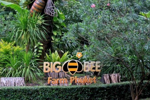 big-bee-farm