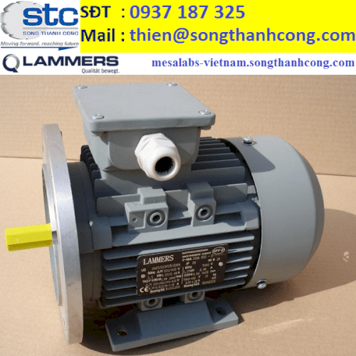 15AA-100L1-4-dong-co-dien-3-pha-lammers-viet-nam-song-thanh-cong-dai-dien-three-phase-electric-motor