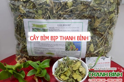 cây bìm bịp thảo dược thanh bình