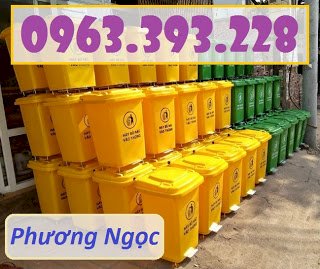 Thùng rác nhựa 60L đạp chân, thùng rác đạp chân 4 bánh xe F3f8c5b4976e75302c7f