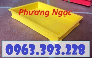 Khay nhựa đựng linh kiện, khay kích thước 300 x 208 x 42 mm, khay nhựa BL006 76177232_483317625616252_5116098084455055360_n