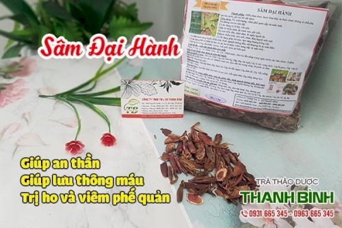 sâm đại hành thảo dược thanh bình