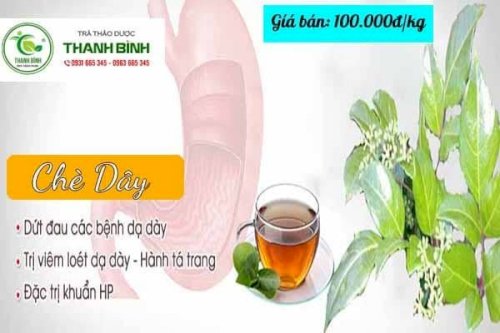 chè dây thảo dược thanh bình