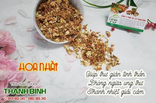 hoa nhài thảo dược thanh bình