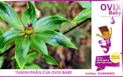 Thành phần của của ding dịch vệ sinh mũi Ovix baby