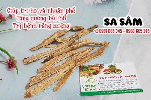 sa sâm thảo dược thanh bình