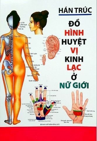 Đồ Hình Huyệt Vị Kinh Lạc Ở Nữ Giới