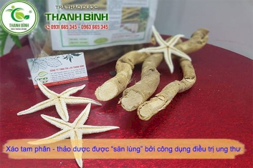 xáo tam phân thảo dược thanh bình