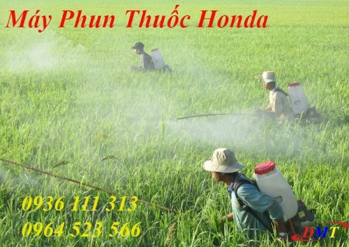 Máy Phun Thuốc Honda