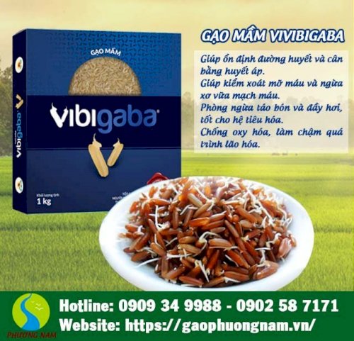 Hạt gạo mầm Vibigaba chất lượng cao