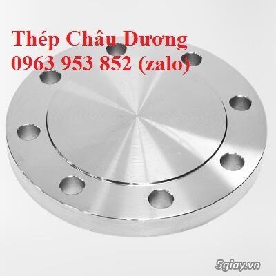 Mặt bích - Các loại mặt bích - 8