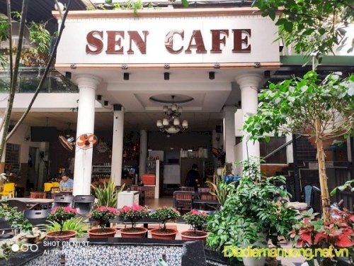 Café sân vườn - Hãy cùng đến với quán cafe sân vườn để tận hưởng cảm giác thư giãn đúng nghĩa. Với kiến trúc độc đáo, không gian thiên nhiên dịu mát kết hợp với hương vị cà phê thơm ngon, chắc chắn bạn sẽ thích thú.