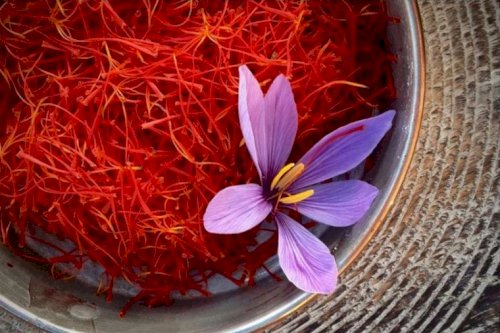 Nhụy hoa nghệ tây Saffron