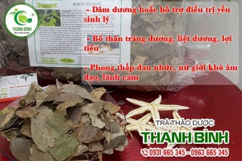 Dâm dương hoắc Thảo Dược Thanh Bình