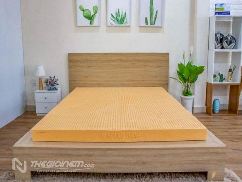 TOP 12 Thương Hiệu Nệm Cao Su Khuyến Mãi, Giá Rẻ Tại Thegioinem.com 01