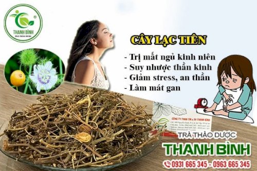 Cây lạc tiên Thảo Dược Thanh Bình