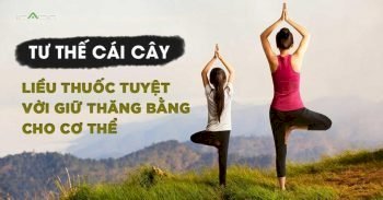 Tư thế cái cây (tree pose)