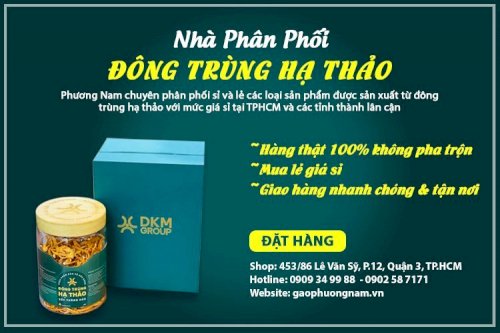 Đông Trùng Hạ Thảo Là Gì? - Nên Mua Ở Đâu Là Tốt Nhất? Giá Bao Nhiêu?