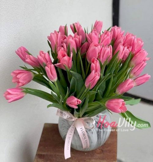Shop hoa Tulip hồng đẹp