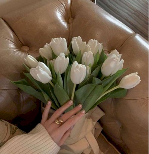 Bạn yêu thích sự đơn giản nhưng không kém phần quý phái? Hoa tulip trắng chính là lựa chọn hoàn hảo cho bạn. Hãy thử bấm vào hình ảnh để khám phá thế giới đầy cảm hứng của hoa tulip trắng.